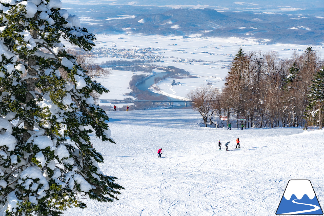 カムイスキーリンクス｜2024年の初滑りは、積雪豊富でコンディション抜群。日本最北のゴンドラリフトがある、旭川市のカムイスキーリンクスへ！